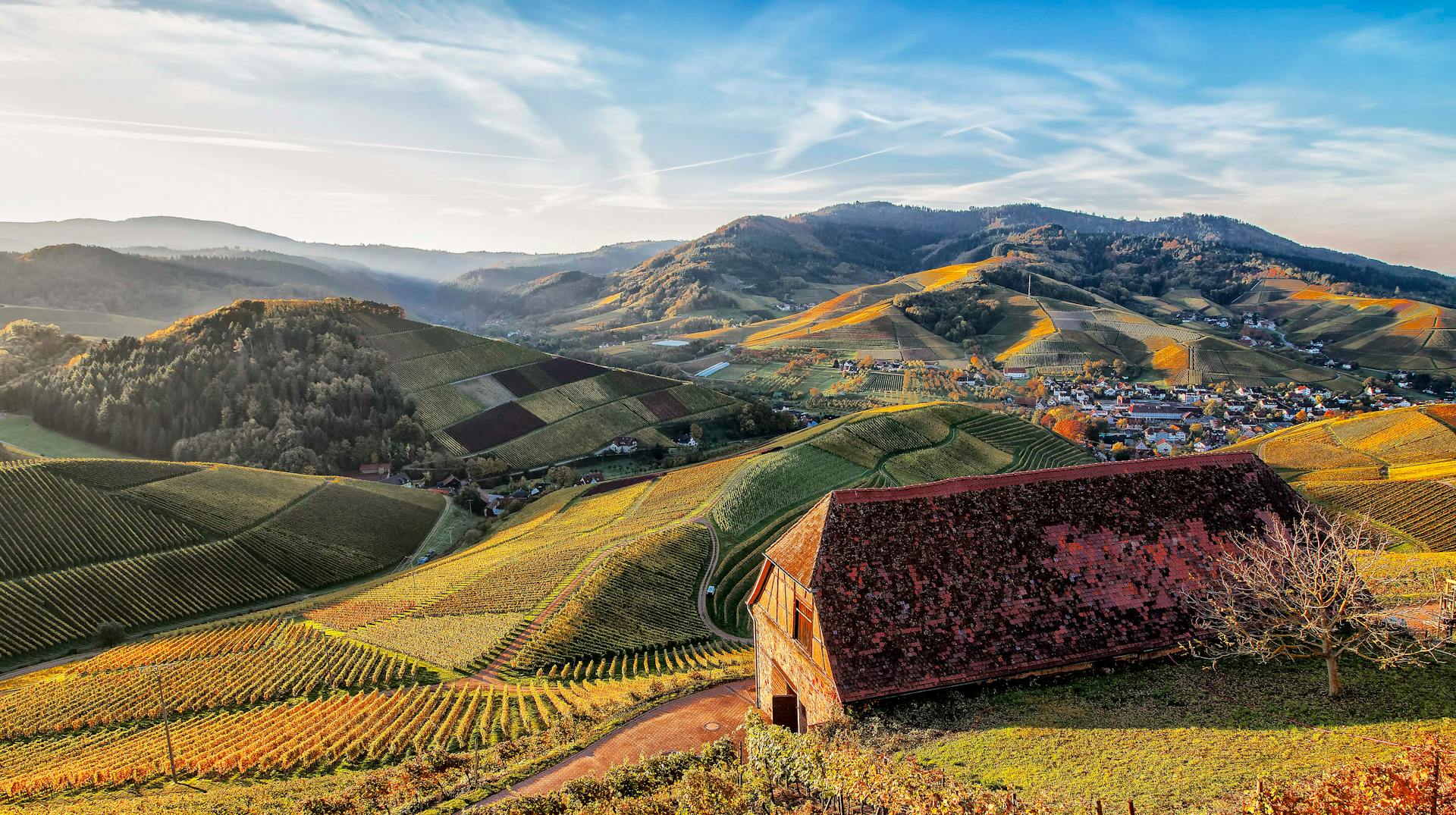 an mountain view at sunset, with greenery and red-roof farmhouse under golden shower.