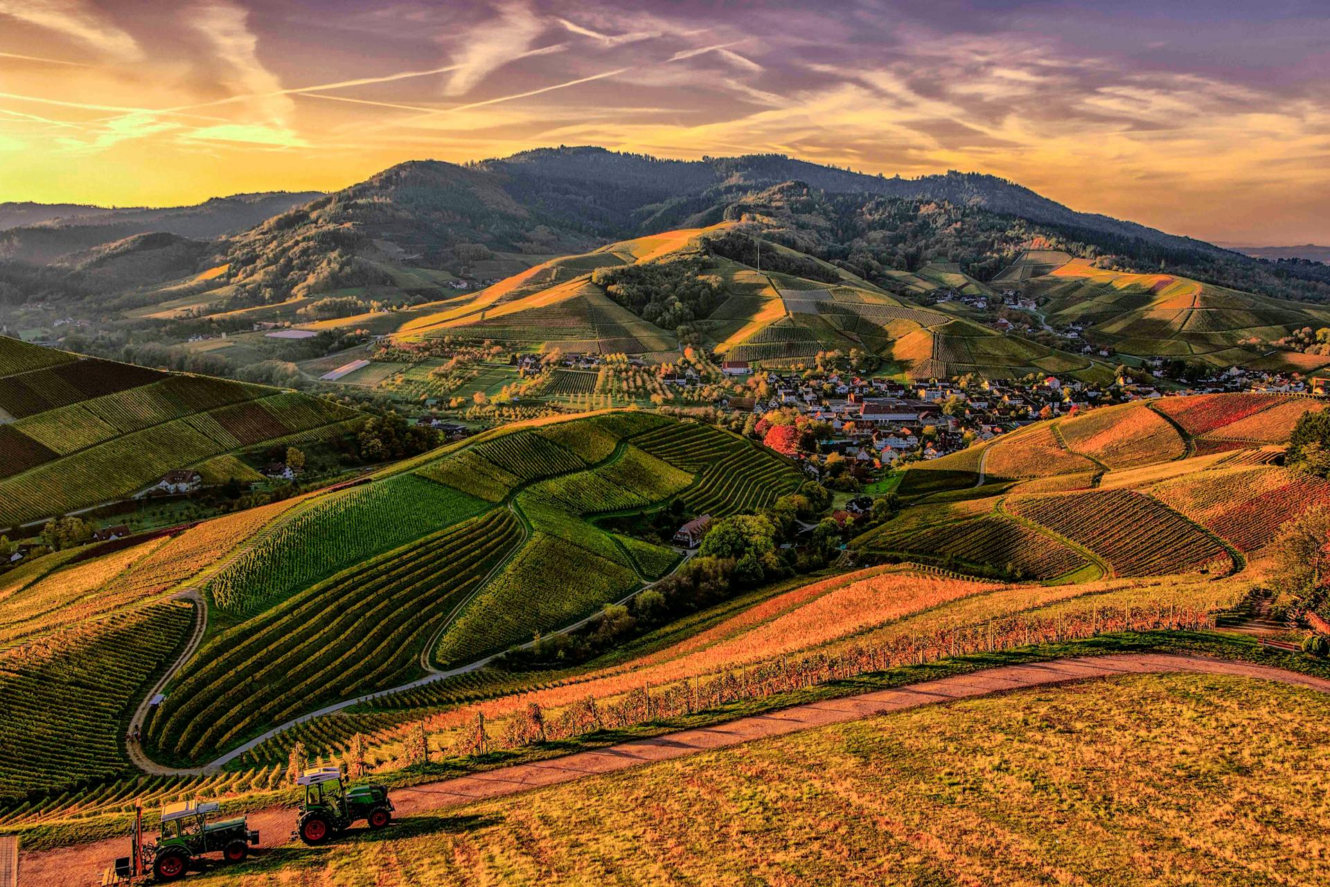 photo of an mountain view at Sunset, with greenery under golden sunlight.